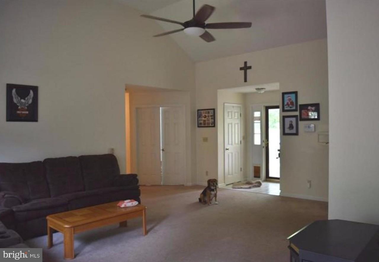 808 Chantilly Ln - Photo 7 of 18