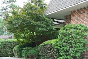200 Finley Forest Dr - Photo 1 of 1
