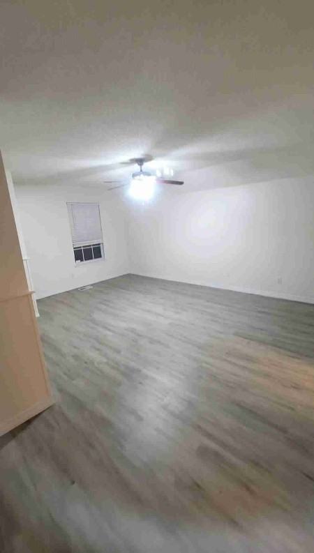 953 Osprey Ct - Photo 5 of 24