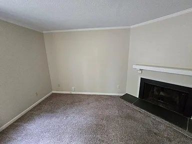 6911 Staghorn Ln - Photo 5 of 15