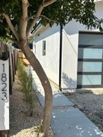 featured image of 1821 Sola Ct #1823