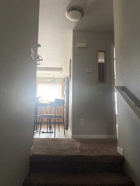 3600 Ponderosa Ct #1 - Photo 3 of 18