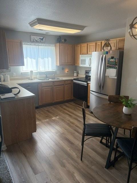 3600 Ponderosa Ct #1 - Photo 7 of 18