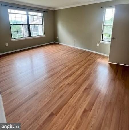 48 Rickard Ct - Photo 7 of 20