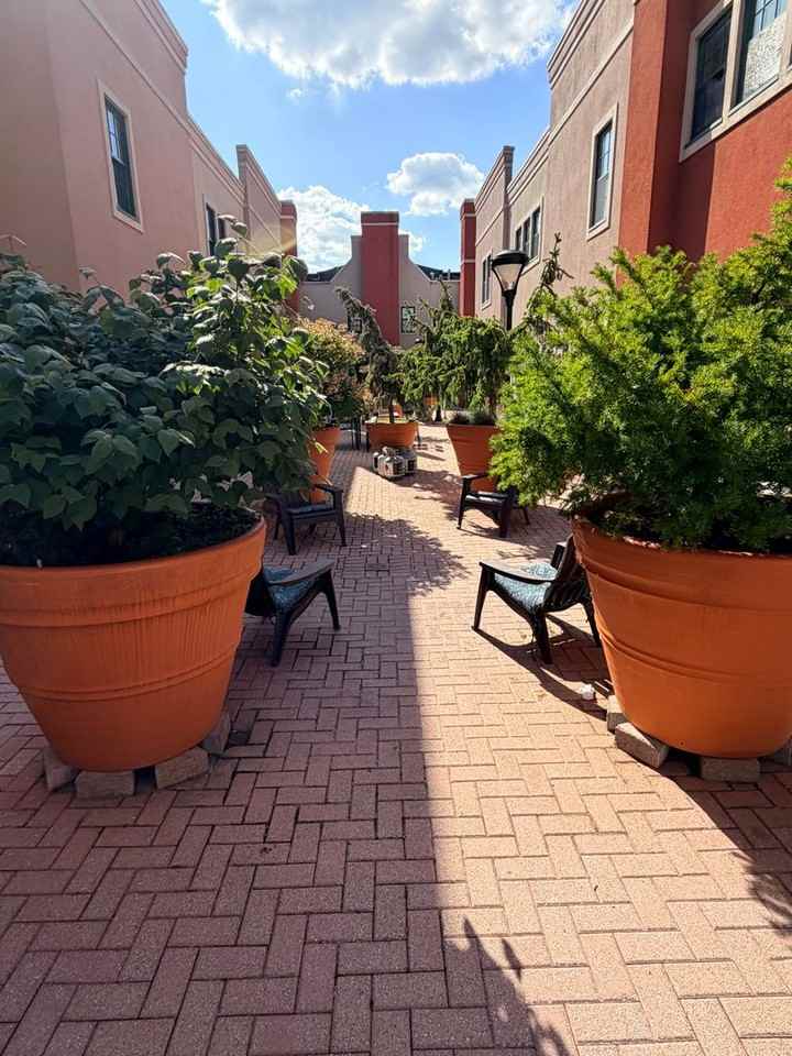 133 Walton St - Photo 6 of 21