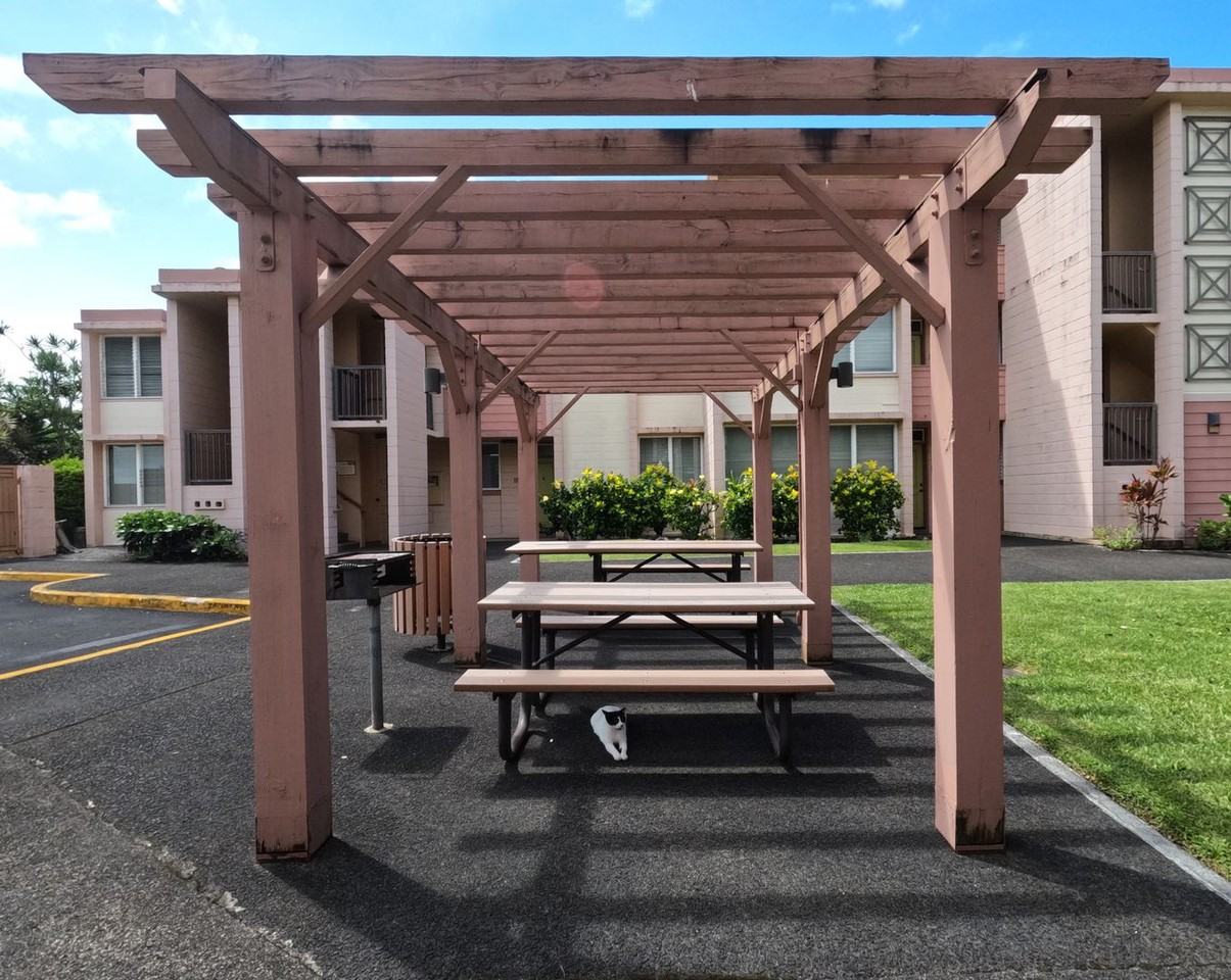 Affordable Central Hilo Living: 1 - Photo 2 of 6