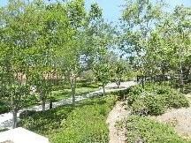 79 Gaviota - Photo 2 of 17
