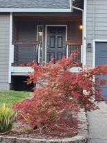 736 8th St - Photo 1 of 1