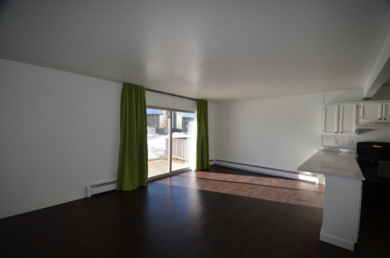 104T Dillon Valley East - Photo 6 of 14