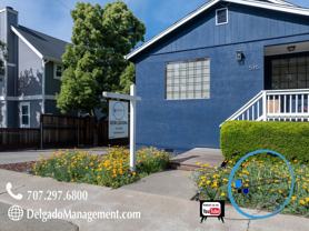 515 E G St #A - Photo 1 of 1