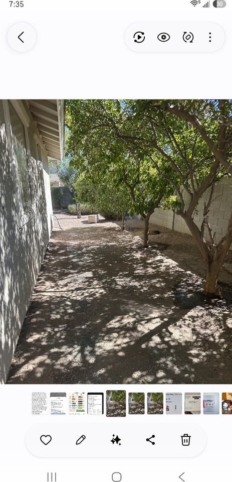 1341 E Strawberry Dr #NA - Photo 5 of 16