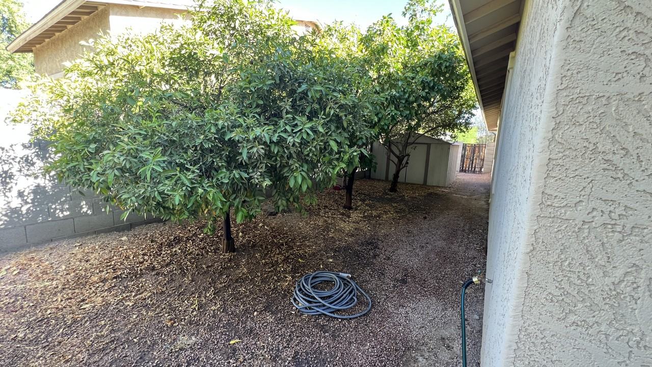 1341 E Strawberry Dr #NA - Photo 7 of 16