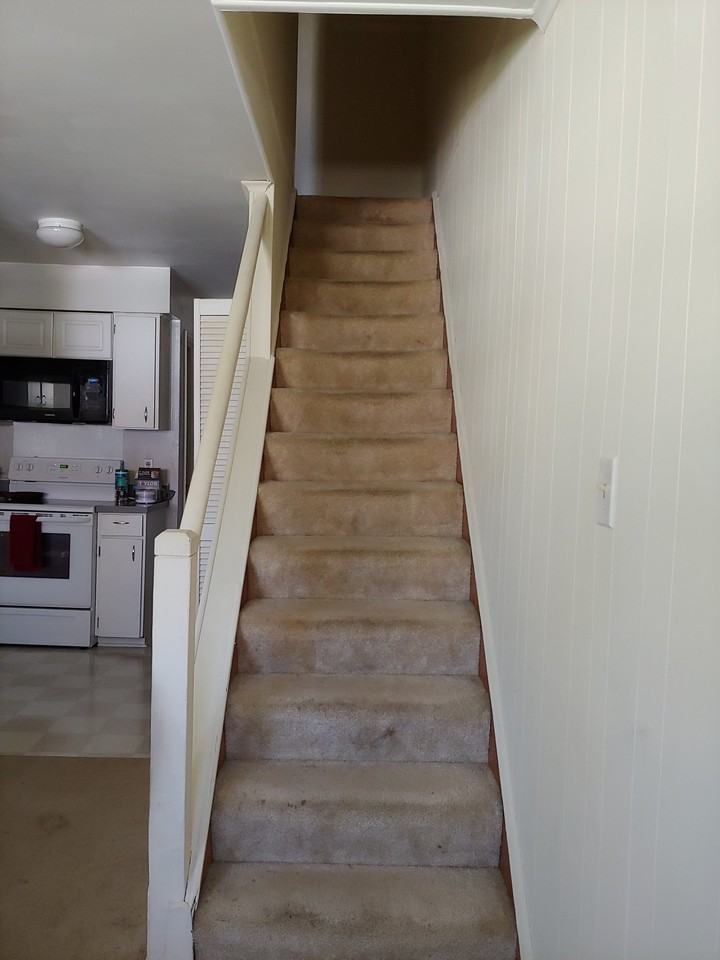 2100 Jefferson Park Ave #3 - Photo 4 of 11