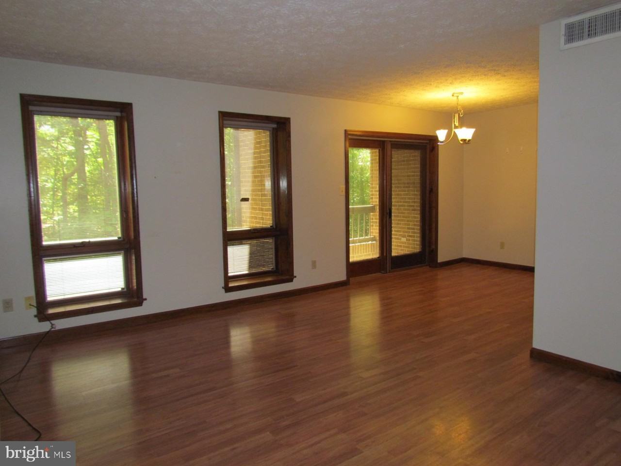 44691 White Oak Ct - Photo 3 of 4