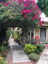 3571 Beethoven Street #3 - Photo 1 of 1