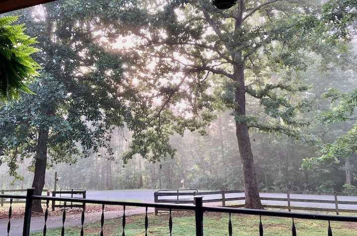 932 Solen Williams Rd #B - Photo 5 of 6