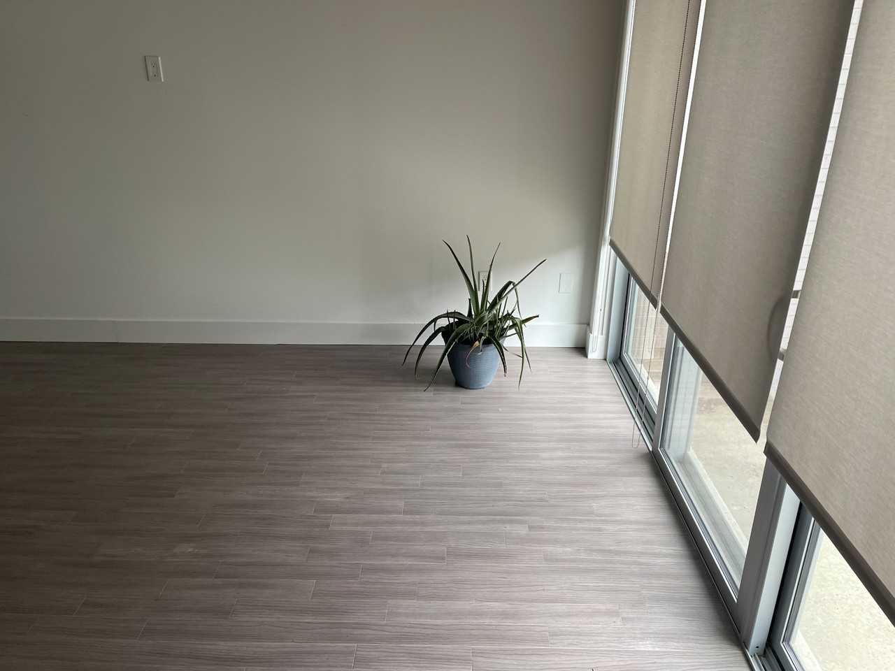 244 Alfred St - Photo 7 of 7