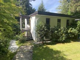 featured image of 4553 Lions Ave