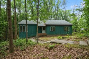 featured image of Davida Pines Dr