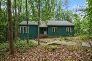 Davida Pines - Photo 1 of 1