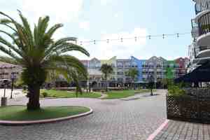 featured image of 101 Palm Harbor Pkwy #C230