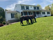 39 Blooms Corners Rd - Photo 1 of 1