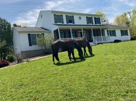 featured image of 39 Blooms Corners Rd