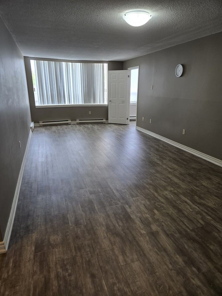 1510 Richmond Street #307 - Photo 2 of 12