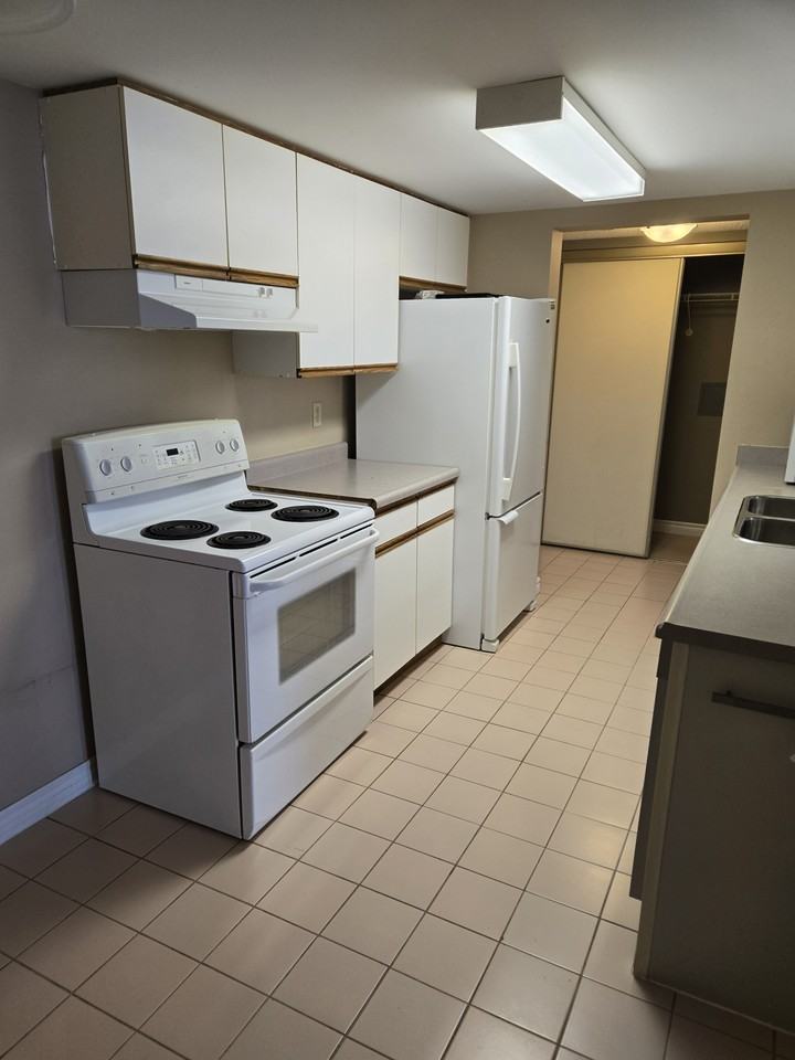1510 Richmond Street #307 - Photo 4 of 12