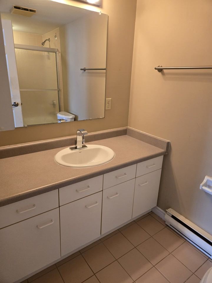 1510 Richmond Street #307 - Photo 6 of 12