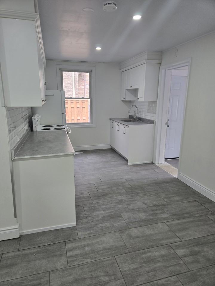 191 Sydenham Street - Photo 4 of 14