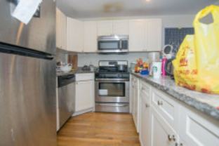 56 Egmont St - Photo 1 of 1