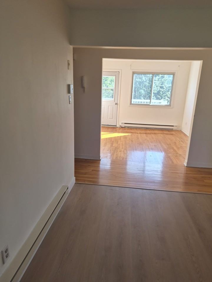 265 Rue Saint-Sylvestre #7 - Photo 3 of 12
