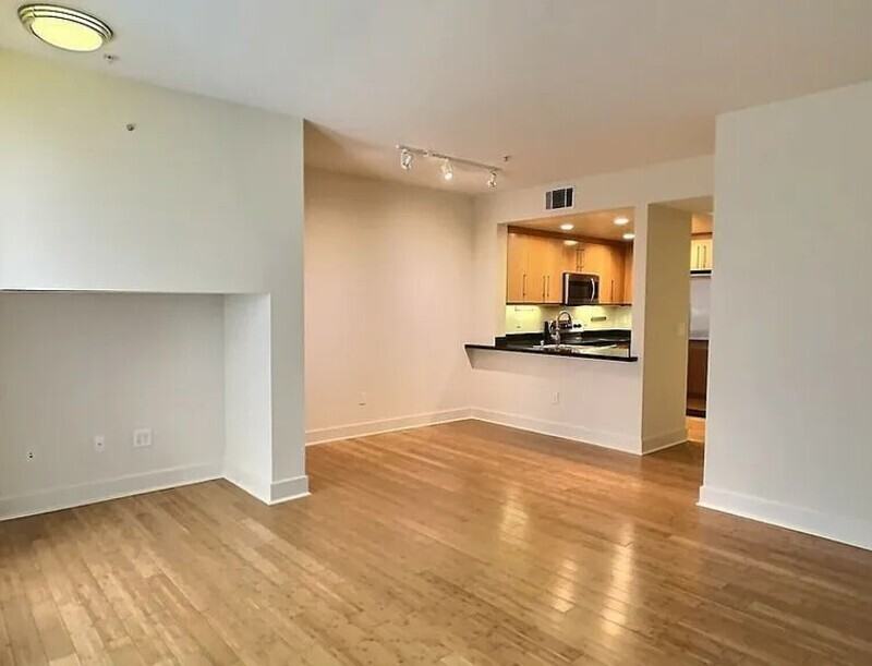 1 E Julian St #217 - Photo 5 of 13