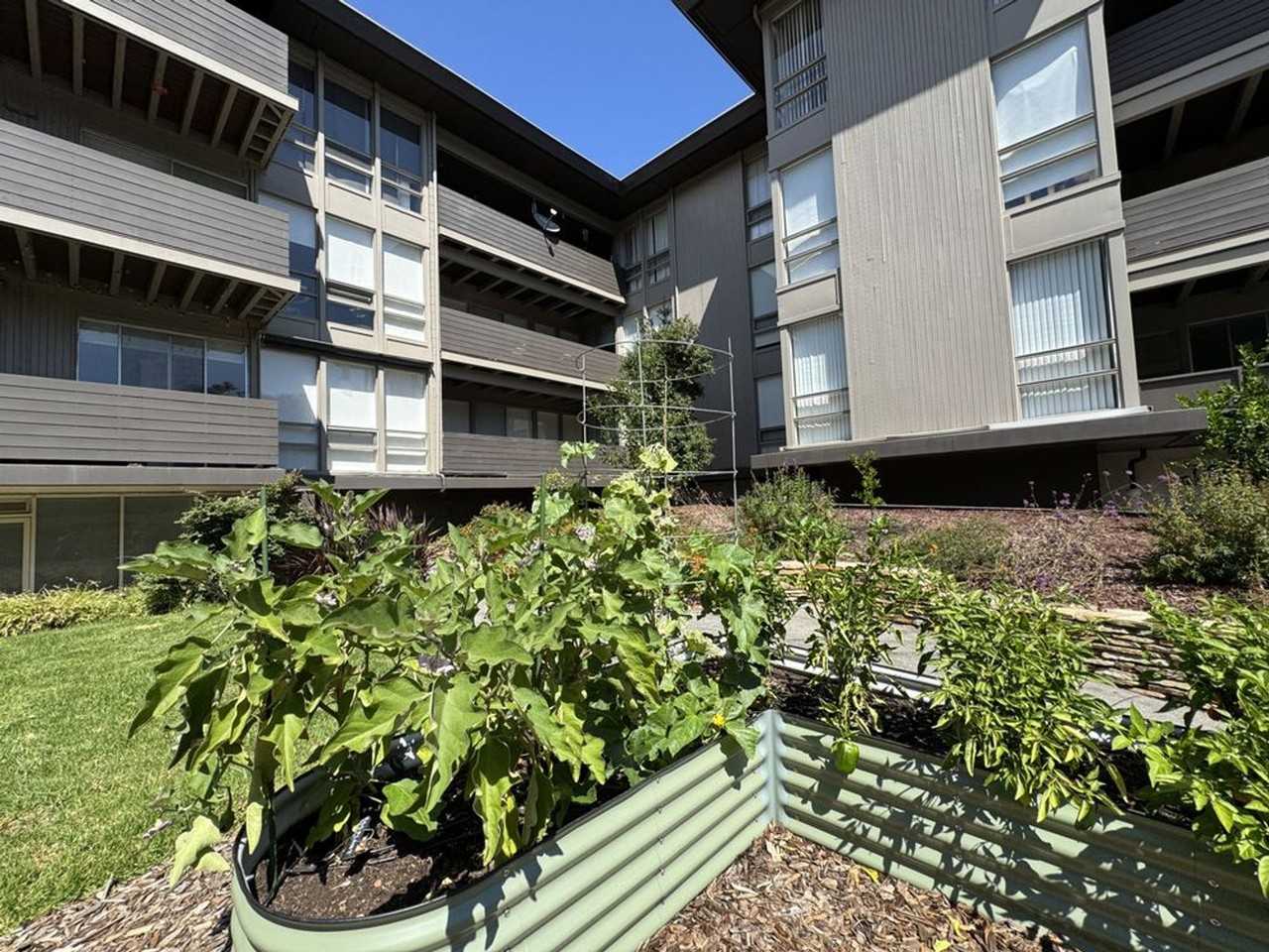Modern Peninsula Living Across from Carlmont Village - Photo 4 of 4