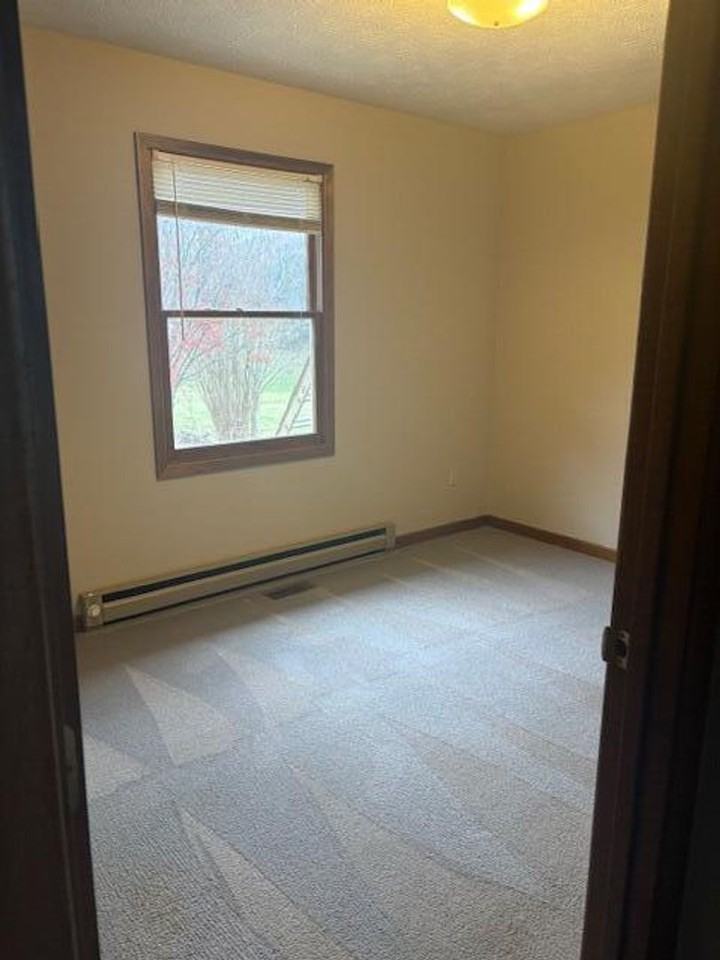 258 Flat Creek Ln - Photo 3 of 12