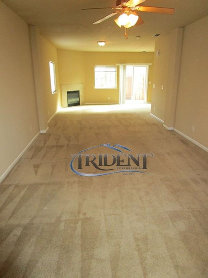 406 Hetherington Cir - Photo 3 of 17
