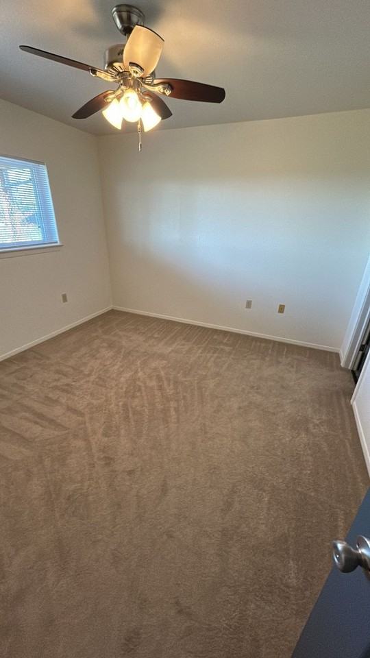 347 Black Elk Ct - Photo 5 of 6
