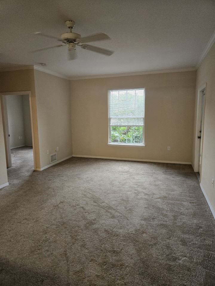 10213 Courtney Palms Blvd #NA - Photo 2 of 13