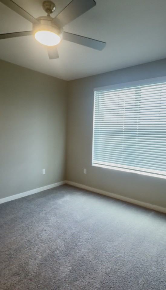 6981 32475 Sugarplum Loop #1 - Photo 7 of 19