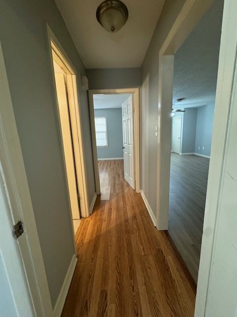 218 Pekin St #1 - Photo 4 of 12