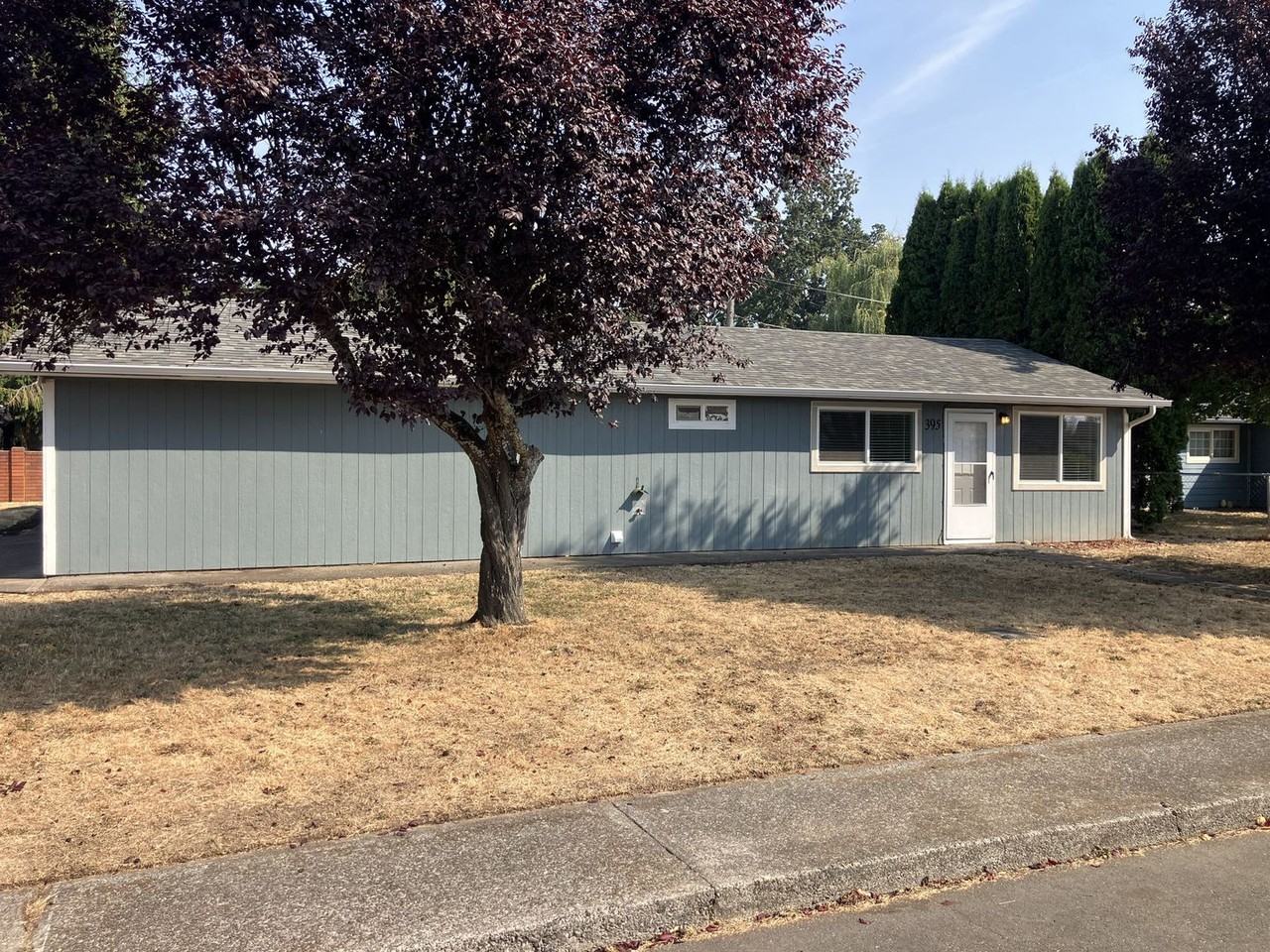 395 Darla Ct - Photo 2 of 21