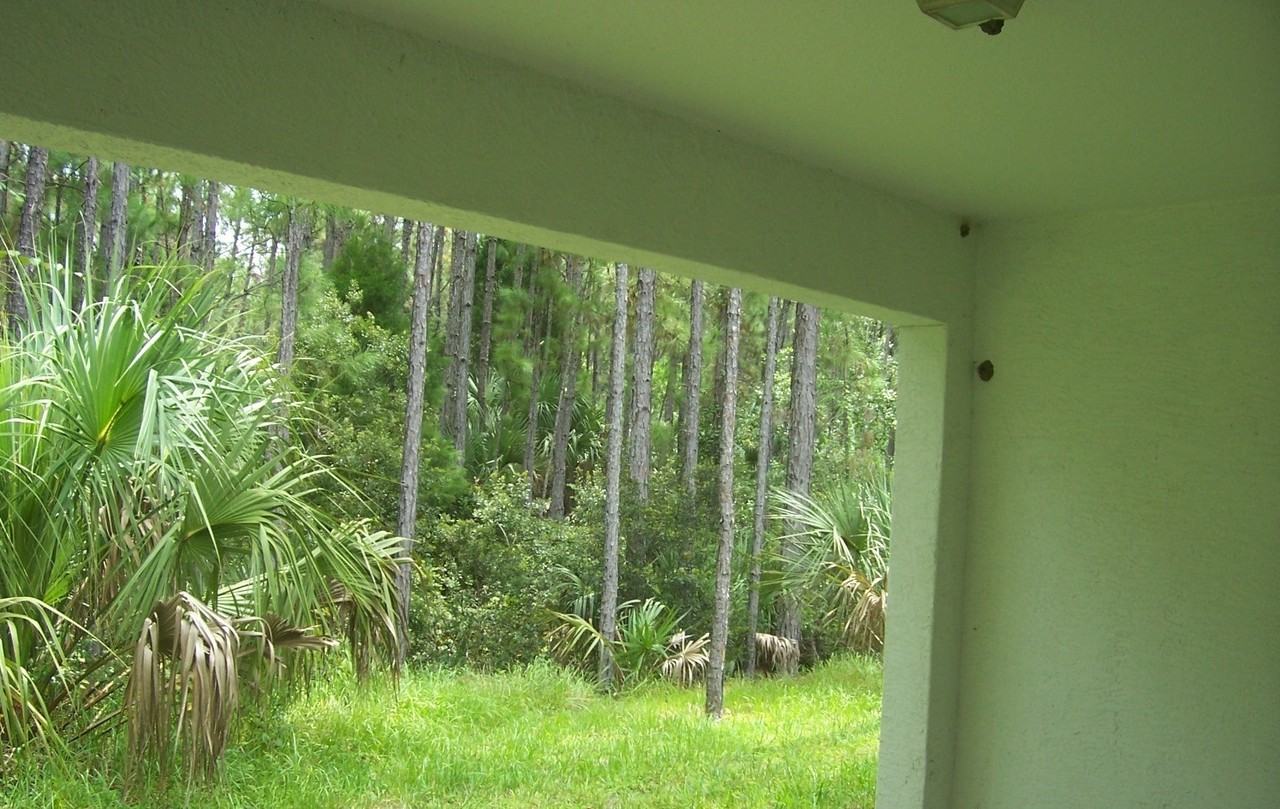 65A Pony Express Dr - Photo 5 of 6