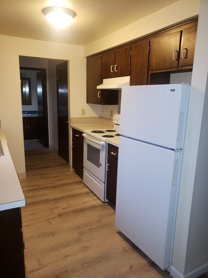 4563 Sean St - Photo 4 of 15