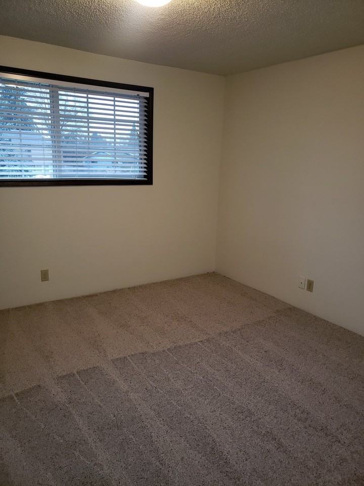 4563 Sean St - Photo 7 of 15