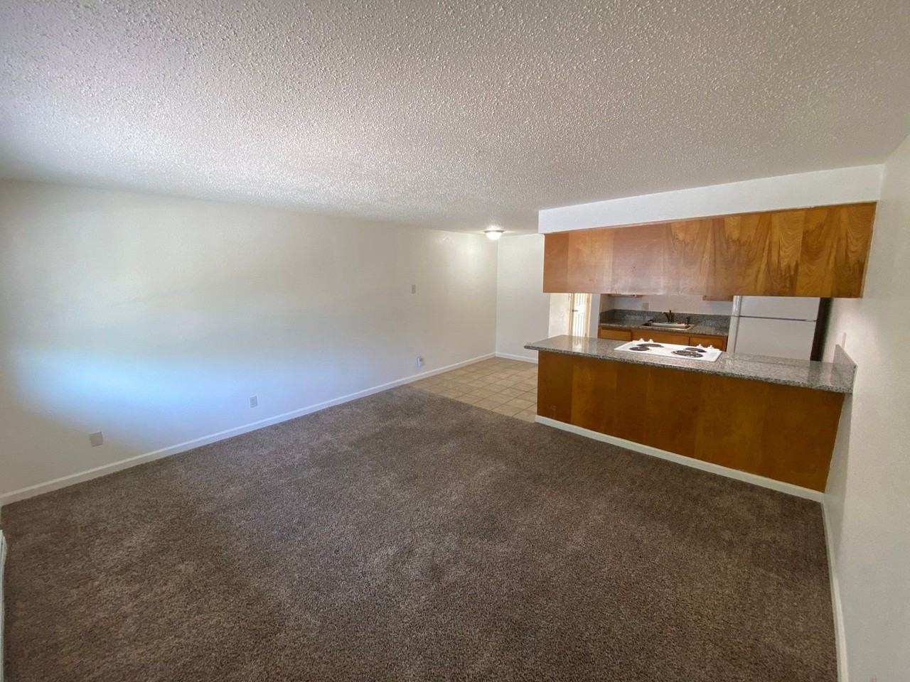 1015 5th Ave Sw #11 - Photo 4 of 10