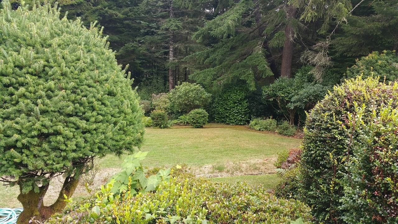63352 Sierra Rd - Photo 7 of 10