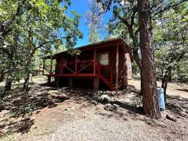 featured image of 237 E White Mountain Blvd #35