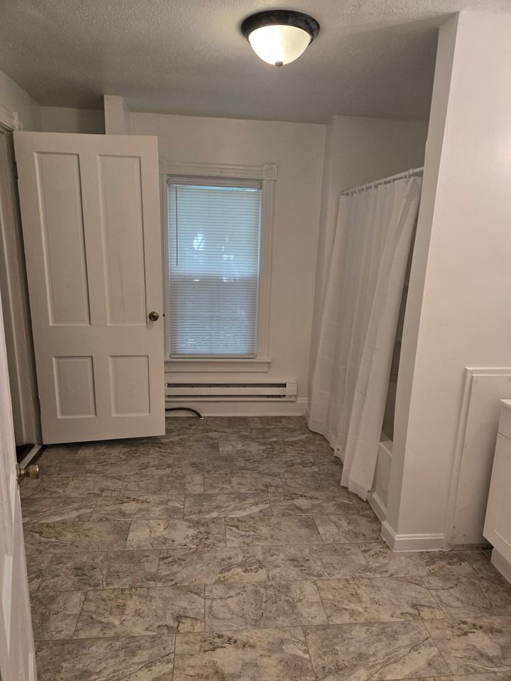 106 S Locust St - Photo 6 of 15