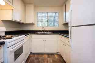 Elan Northwoods - Photo 1 of 1